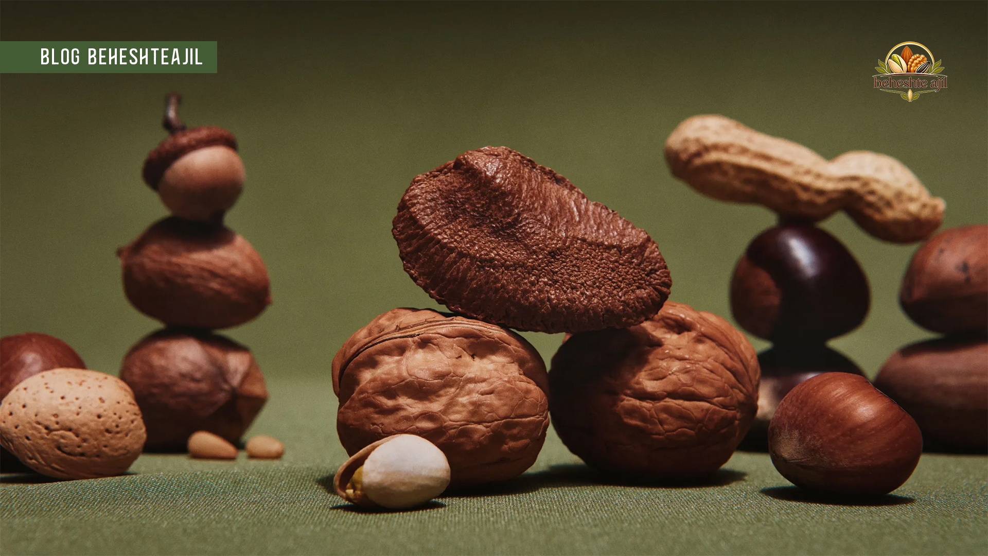 آجیل شامل چه چیزهایی می شود؟