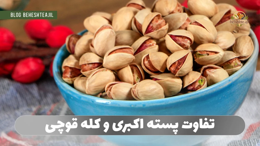 تفاوت پسته اکبری و کله قوچی