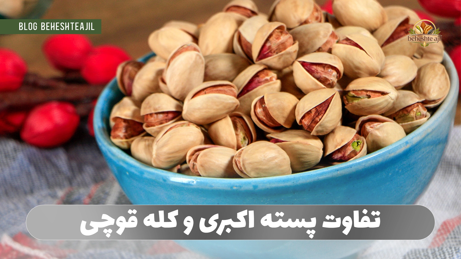 تفاوت پسته اکبری و کله قوچی