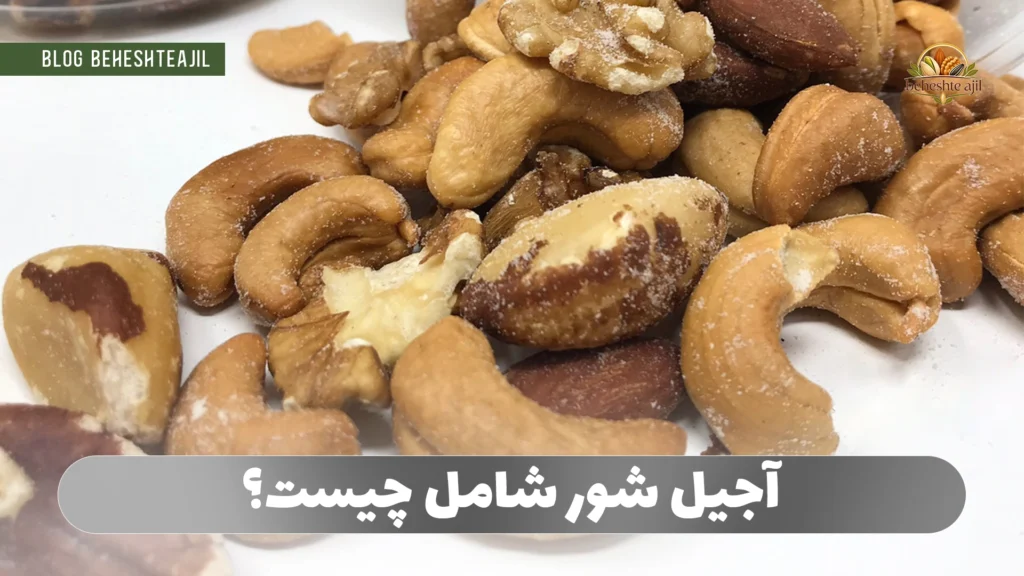آجیل شور شامل چیست؟