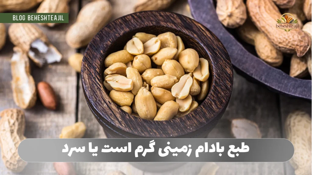 طبع بادام زمینی گرم است یا سرد