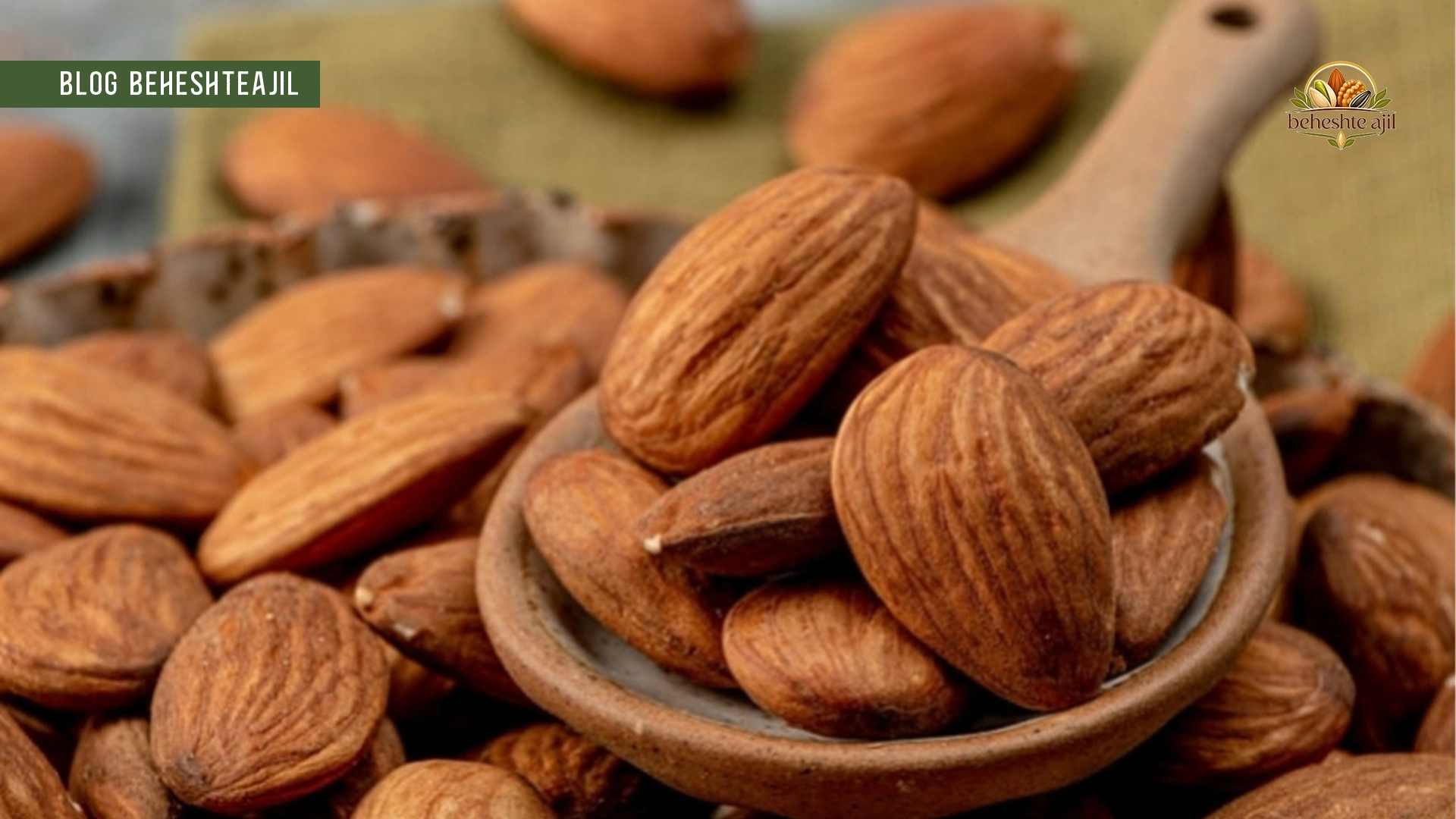 طبع بادام درختی سرد است یا گرم