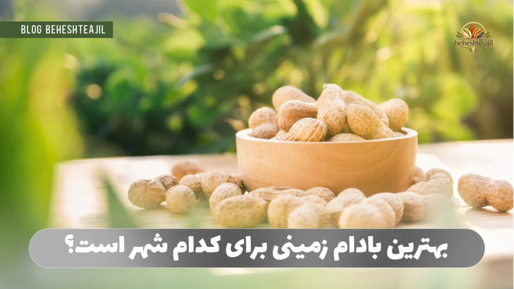بهترین بادام زمینی برای کدام شهر است؟
