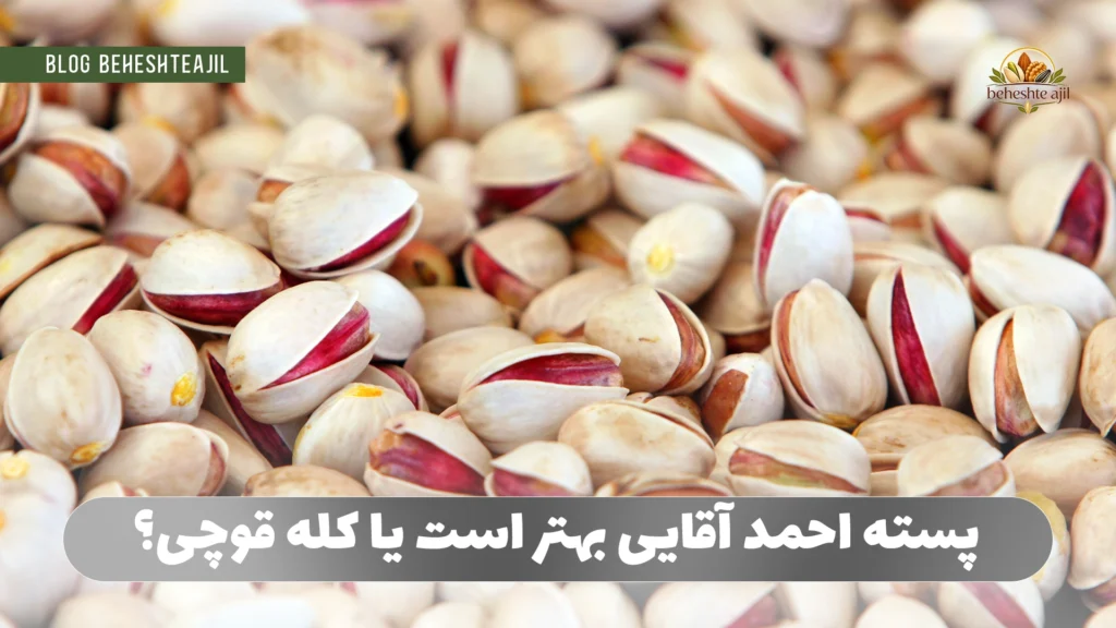 پسته احمد آقایی بهتر است یا کله قوچی؟