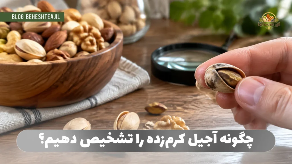 چگونه آجیل کرم‌زده را تشخیص دهیم؟